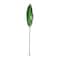 Tropical Bird Of Paradise Leaf Spray by Ashland®
